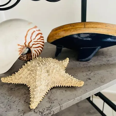 La Venezia's Flat